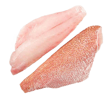 Red Snapper Fillet